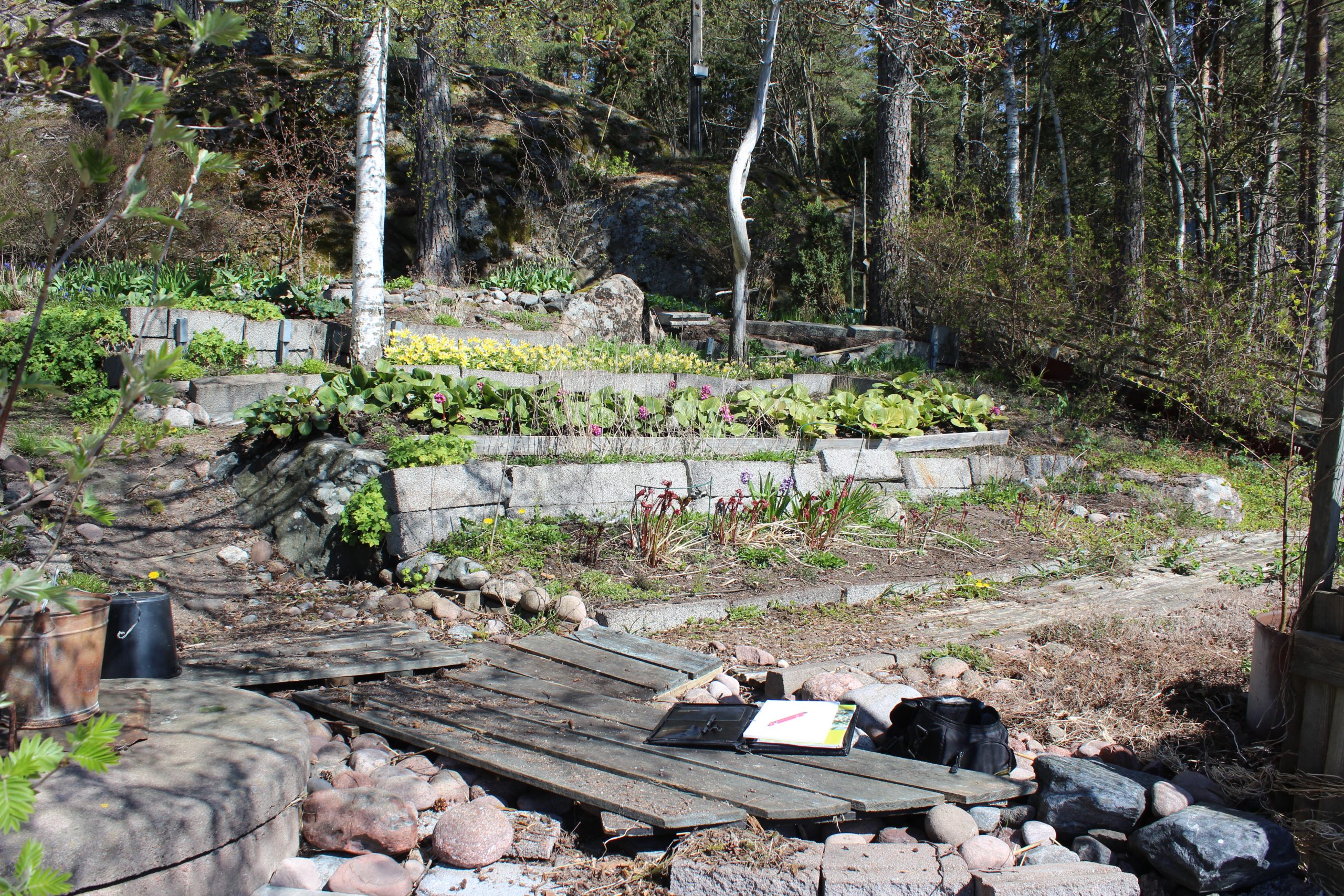 Vanha pengerretty perennarinne